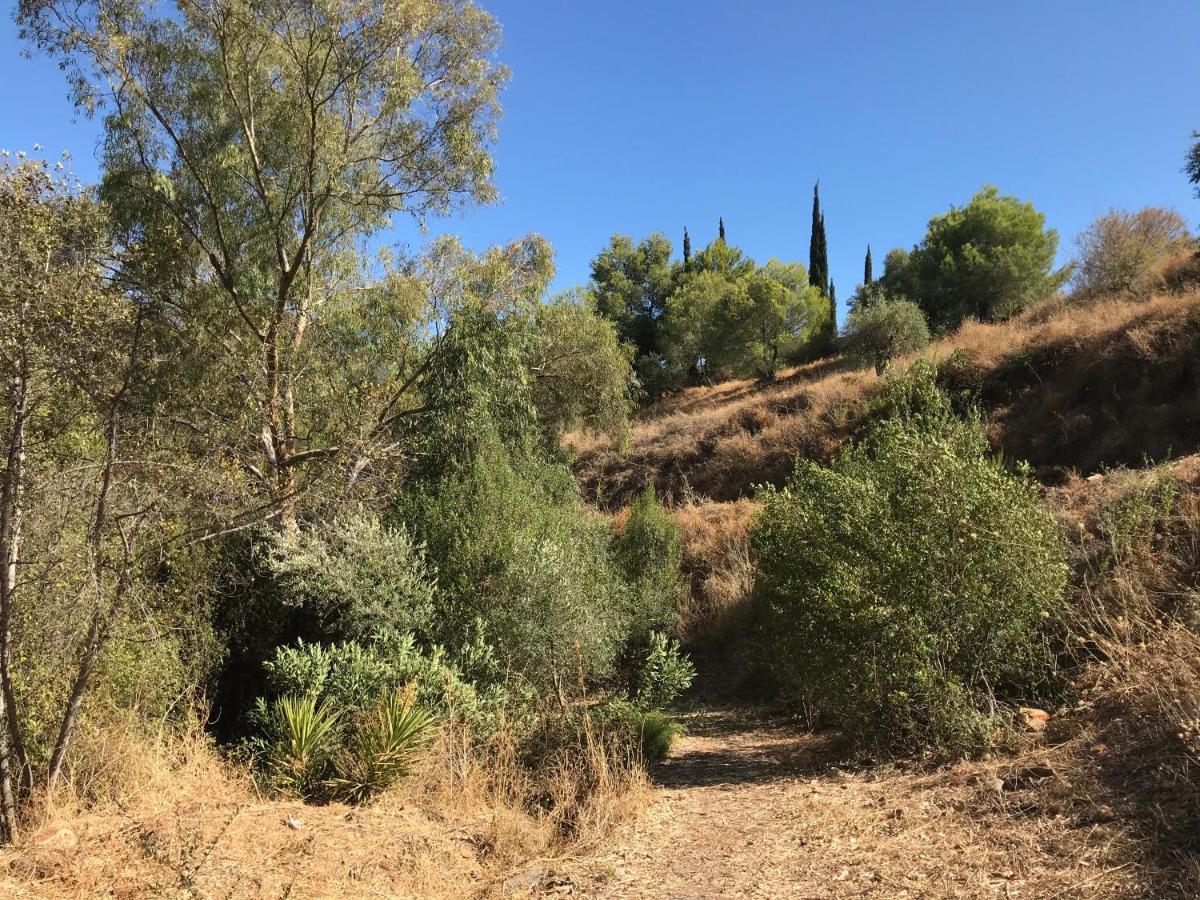 Studio Views Apartment, Cortijo Fruitful Hills Malaga Exterior photo