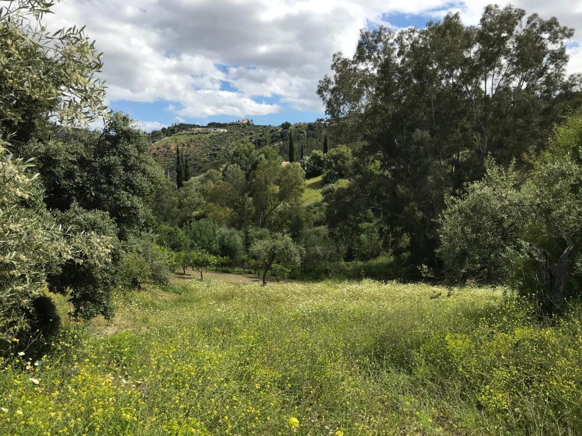 Studio Views Apartment, Cortijo Fruitful Hills Malaga Exterior photo