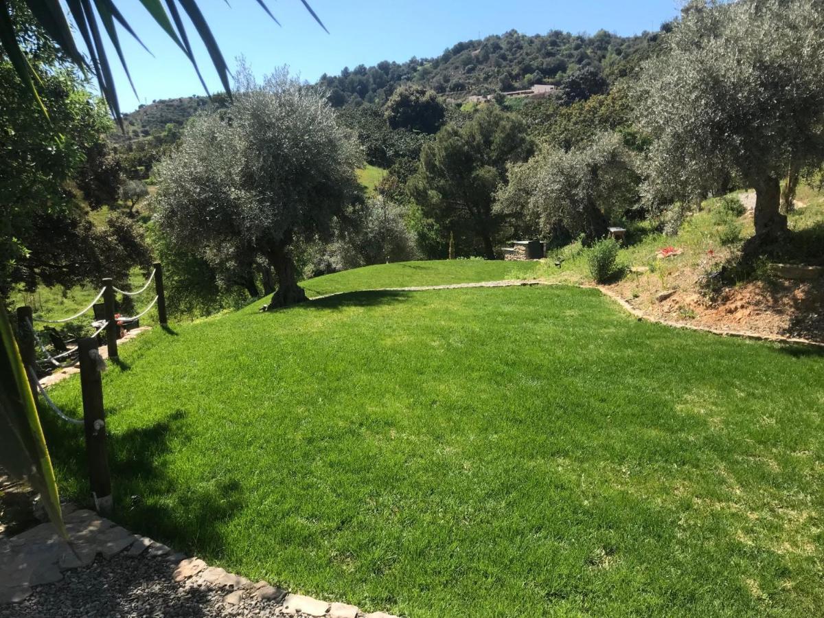 Studio Views Apartment, Cortijo Fruitful Hills Malaga Exterior photo