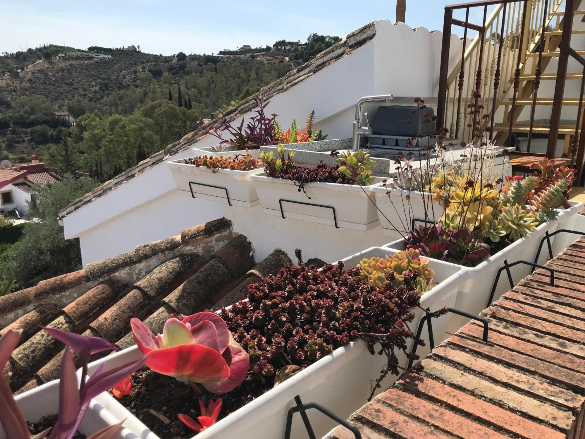 Studio Views Apartment, Cortijo Fruitful Hills Malaga Exterior photo